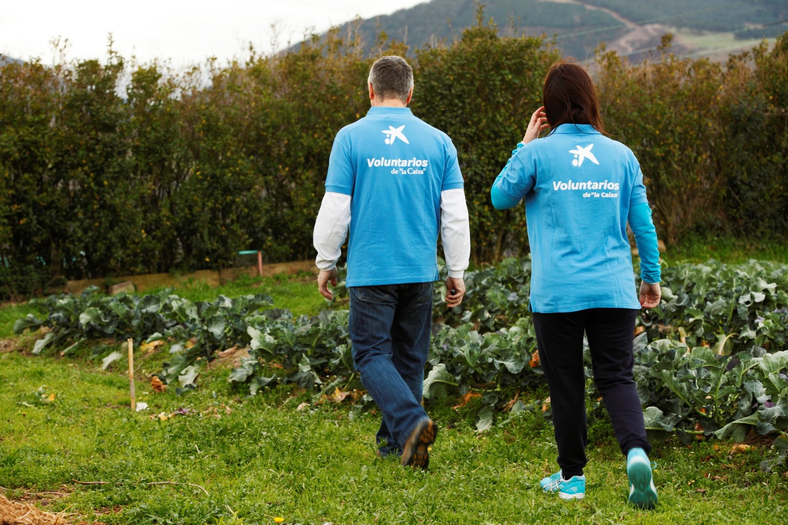 voluntarios de la caixa con el medio ambiente